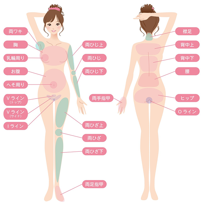 医療脱毛の施術部位の画像